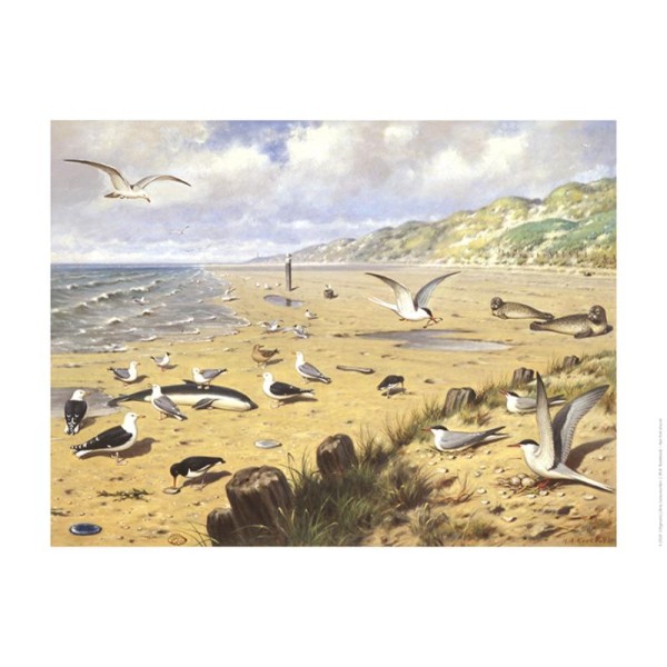 de Schoolplaat poster - Aan het Strand de Schoolplaat poster - Aan het Strand